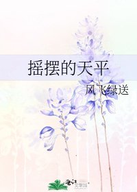 摇摆的天平